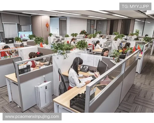 新葡萄娱乐城集团：以客户为中心的服务体系打造行业标杆