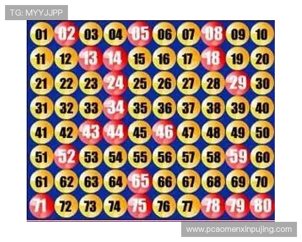 北京快乐8玩法介绍与技巧详解帮助玩家轻松掌握游戏策略提升中奖几率 北京快乐8玩法介绍与技巧详解帮助玩家轻松掌握游戏策略提升中奖几率