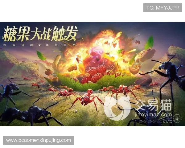 新普京注册平台登录入口官方指南，帮助玩家快速安全进入游戏账号