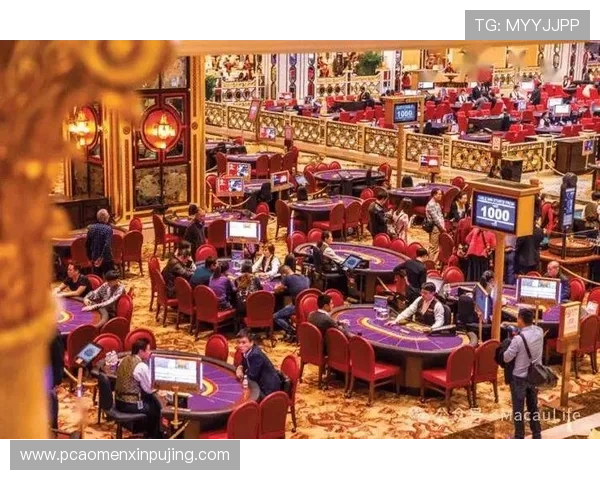 澳门十大娱乐场所法人代表名单及其在行业中的核心作用解析