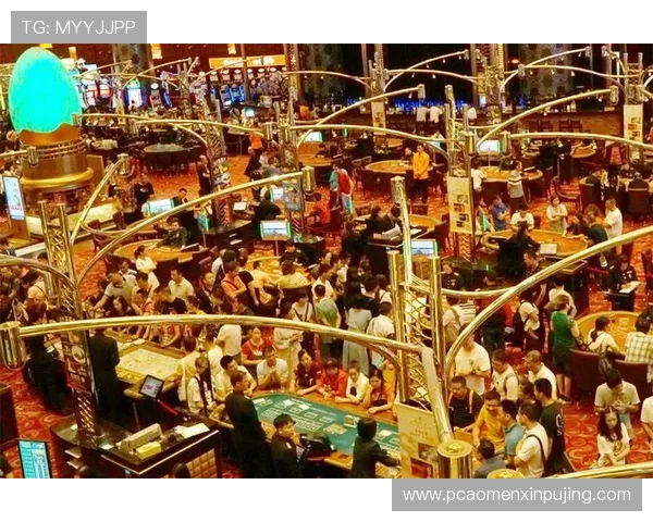 澳门新葡京在线游戏种类全面介绍满足不同玩家的多样化娱乐需求