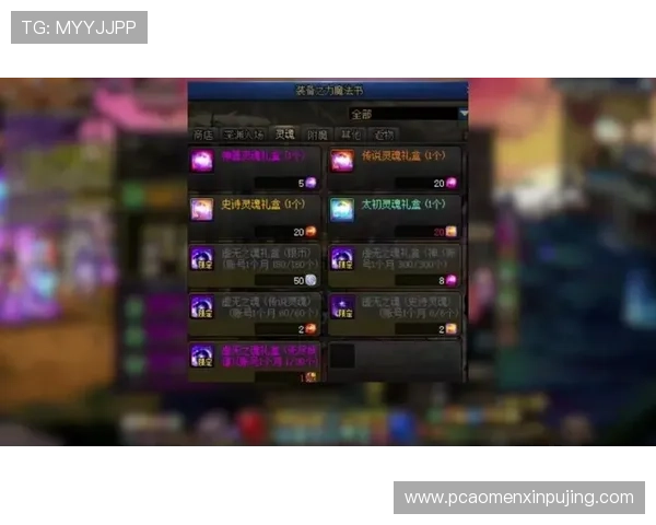 新普金游戏中如何快速提升等级和获取稀有装备的实用技巧全解析