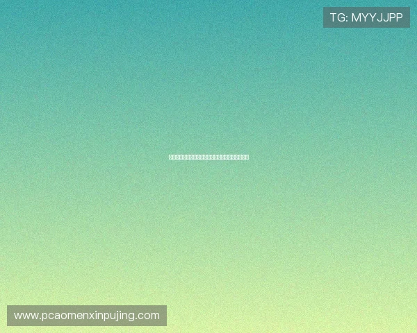 世界杯墨西哥对阵南非比赛中黄牌数详细统计与分析