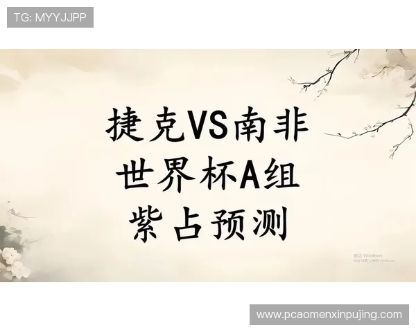 捷克对南非半全场比赛前瞻：两队状态分析与比赛结果预测为您提供权威参考